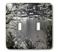3dRose lsp_54330_2 I ramoscelli di un albero che incorniciano una vista sul lago nella foresta nazionale di Dixie in bianco e nero doppio interruttore a levetta