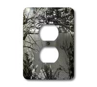 3dRose lsp_54330_6 I ramoscelli di un albero che incorniciano una vista sul lago nella foresta nazionale di Dixie in bianco e nero 2 prese di copertura