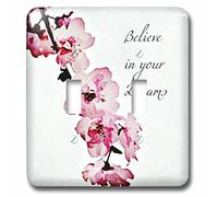 3dRose lsp_54511_2"Credi nei tuoi sogni" interruttore a levetta