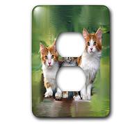 3dRose LSP_5773_6 - Copripresa a 2 prese con tre gattini, multicolore