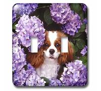 3dRose lsp_61913_2 - Interruttore a doppia levetta Cavalier King Charles Spaniel