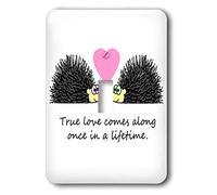 3dRose LSP_6307_1 True Comes Along Once In A Lifetime - Simpatico Hedgehog Love Design Interruttore a levetta singolo, multicolore