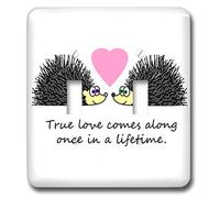3dRose lsp_6307_2 True Comes Along Once in a Lifetime - Cute Hedgehog Love Design doppio interruttore a levetta, multicolore