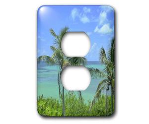 3dRose LSP_7281_6"Florida Chiave Perfezione 2 Spina, Multicolore