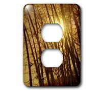 3dRose LSP_7519_6" Thru The Bamboo 2 Plug Copertura di uscita, Multicolore