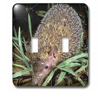 3dRose lsp_76253_2" "Madagascar, Ankarana, Greater Hedgehog Tenrec Wildlife" Doppio interruttore a levetta