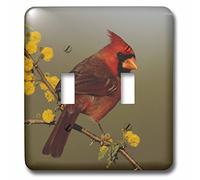 3dRose lsp_84562_2 Northern Cardinal Bird, Lake Corpus Christi Texas Na02 Rnu0701 Rolf Nussbaumer Doppio interruttore a levetta