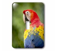 3dRose lsp_87272_1 Scarlet Macaw Bird, Rainforest, Costa Rica Sa22 Rsp0031 Rob Sheppard interruttore a levetta singola