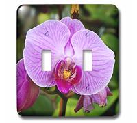 3DROSE Lsp 88524 _ 2 Palm Springs California orchidee US05 MDE0210 Michael Defreitas doppio interruttore a levetta, multicolore