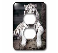 3dRose lsp_88641_6 White Tiger At The Sacramento Zoo, California Us05 Tau0014 Tananarive Aubert 2 Plug Outlet Cover