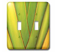 3dRose lsp_89502_2 Hawaii, Big Island Tropical Plant Abstract Us12 Bja0009 Jaynes Gallery Doppio interruttore a levetta