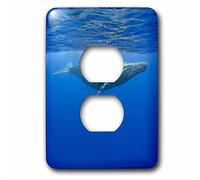 3dRose lsp_89841_6 Hawaii, Big Island, Humpback Whale Us12 Pso0028 Paul Souders 2 Plug Outlet Cover