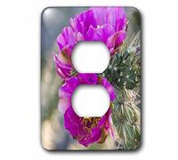 3dRose lsp_92990_6 New Mexico, Tree Cholla Cactus Succulent Us32 Tdr0072 Trish Drury Light Switch Cover