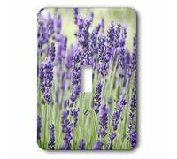 3dRose lsp_96780_1 Usa, Wa, Sequim, Lavanda Fiore Us48 Rti0243 Rob Tilley Singolo Interruttore a levetta