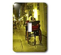 3dRose Lsp_9976_1 Cavalcata in carrozza trainata da cavalli, un modo unico per esplorare la città