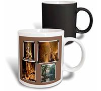 3DROSE River scrapbook at Mammoth cave National Park, kentucky-magic Transforming tazza, ceramica, multicolore, 10.16 x 7.62 x 9.52 cm