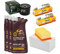 3L Set Olio Manutenzione Filtro Aria Candela per Bwm F 800 GS 650 700 08-18