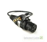 3M Cavo Adattatore Microfonico 3,5mm Mini-Jack XLR (W) Blackmagic DSLR Camera