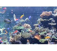 3M Versaflo TR-3802E - Filtro antiparticolato per vapori organici