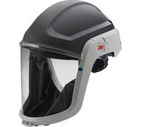 3M Visiera trasparente M-307, Integrale (Full-face), CASCO, Grigio