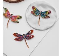 3pcs Dragonfly Shape Spettaio Donne Rinazza Spilla Spilla colorata.