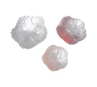 3Pcs Fiore a forma di Piatto di Vetro Stoviglie Famiglia Gioielli Holder Piatto per Decorazione Servire