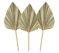 3Pcs Foglie di palma essiccate, lance di palma essiccate naturali, piccolo ventaglio di palma essiccata,pianta di lance di palma con stelo Boho casa, festa, matrimonio,torta, decorazione natural