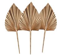 3Pcs Foglie di Palma Essiccate, Lance Naturali, Piccolo Ventaglio, Pianta Con Stelo per Boho Casa, Festa, Matrimonio, Torta, Decorazione Gold