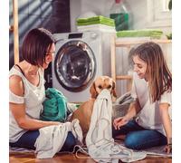 3pcs Gancio per vestiti per cani IRONI PET GARMENT GARDING HANDERS Home PET PET