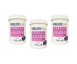 3pz Helen Seward Forelock Blank POLV. DECOLORANTE capelli rapida 7+ 650g