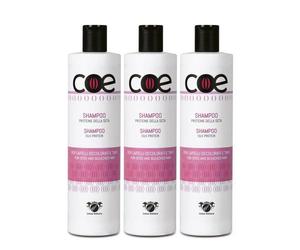 3pz Linea Italiana COE SHAMPOO PROTEINE SETA CAPELLI DECOLORATI e TINTI 500ml