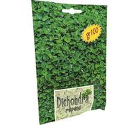 3PZ SEME PRATO DICHONDRA REPENS GR 100