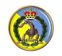 3rd/4th Cavalleria Regiment (Australiano Militare) Spilla