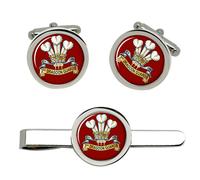 3rd Principe Di Wales's Dragoon Protezioni, Britannico Militare Gemelli E Set