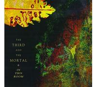 3rd & The Mortal - In This Room