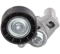 3RG 10226 Tenditore cinghia servizi
