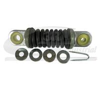 3RG 10238 Tendicinghia, Cinghia Poly-V per CITROËN,PEUGEOT