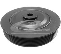 3RG 10606 Puleggia cinghia albero a gomiti