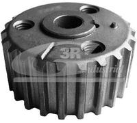 3RG 10915 Puleggia, Albero a Gomiti