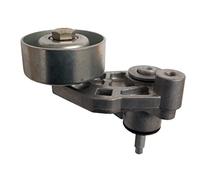 3RG 13219 Tenditore cinghia servizi