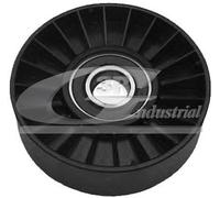 3RG 13228 Puleggia inversione/Guida, Cinghia poli V