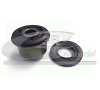 3RG 50263 Supporto, Braccio oscillante per CITROËN