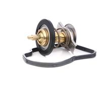 3RG 80254 Termostato motore