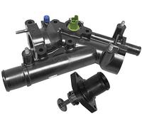 3RG 81216 Termostato motore