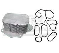 3RG INDUSTRIAL - Scambiatore di Calore - OEM 1103L1+110436 - Ricambi E Parti di Automobili Moto - Parti Motore Equipaggiamento del Veicolo E Altri Marchi Compatibile con Auto E Moto.