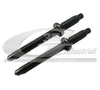3RG 83295 Bullone, Supporto iniettore per CITROËN,FORD,MINI,PEUGEOT,SUZUKI,VOLVO