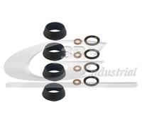 3RG 86238 Kit guarnizioni Iniettore