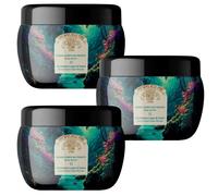 3x Compagnia delle Indie Burro Corpo Nutriente Orchidea e Legni di Cedro 250 ml