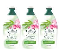 3X Confezione Per L'Angelica, Bagnodoccia Canapa e Rosa, 3x 450 ml, Bagnoschiuma Idratante con Estratti di Canapa e Rosa, Nutre e Rivitalizza, Rispetta L'Equilibrio della Pelle