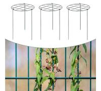 3x gabbie di supporto della peonia in metallo pratico per cortile per pianta